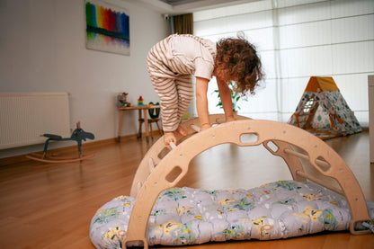 XL Climbing Arch/Rocker &amp; Map Pattern Cushion Set