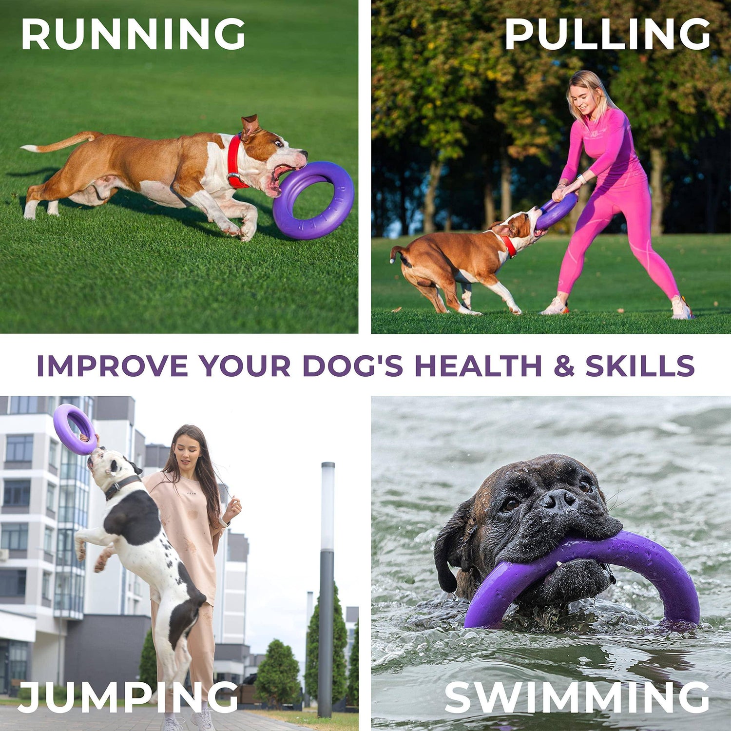Puller Outdoor Dog Ring Toys   Dog Fetch Toy &amp; Tug of War Dog Toy for