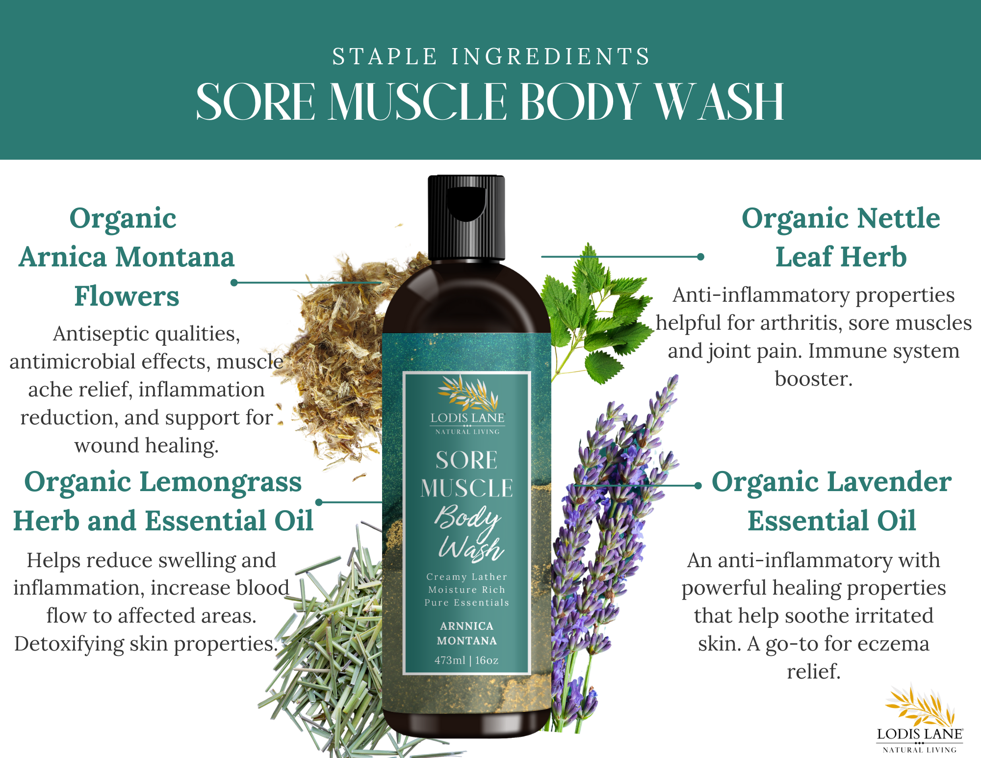 Arnica Montana Sore Muscle Body Wash
