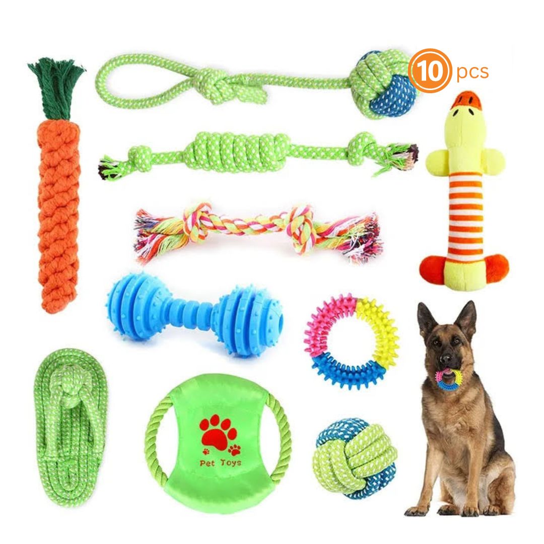 Bite-Resistant Molar Dog Toys 10pk