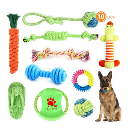 Bite-Resistant Molar Dog Toys 10pk