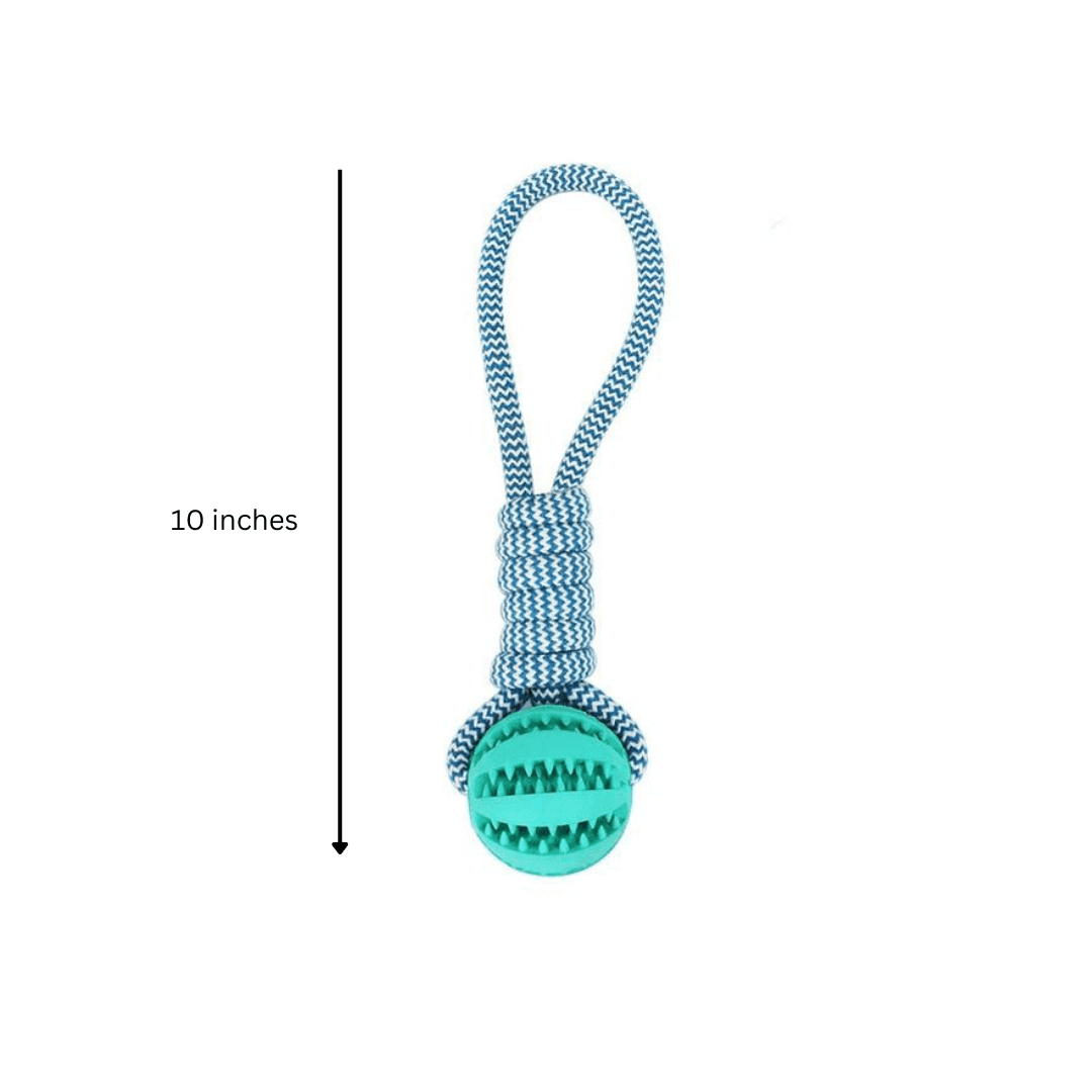 Fast Shipping 3 Pack Squeaky Toothbrush &amp; Cotton Rope Ball Dog Toys