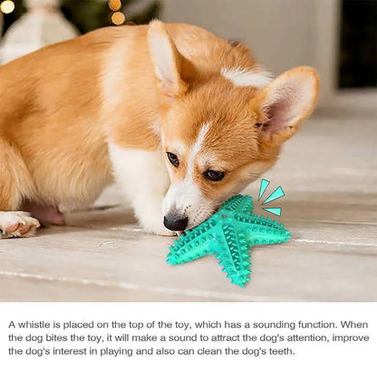 Fast Shipping 3 Pack Squeaky Toothbrush &amp; Cotton Rope Ball Dog Toys