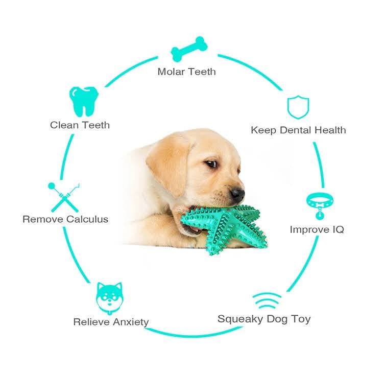 Fast Shipping 3 Pack Squeaky Toothbrush &amp; Cotton Rope Ball Dog Toys