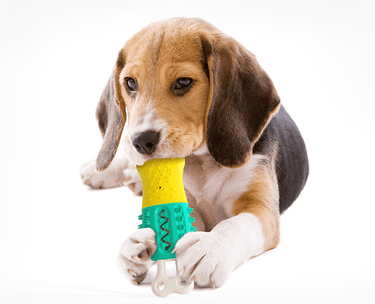 Summer Cooling Cleaning Care Teeth Pet Chewing Supplies