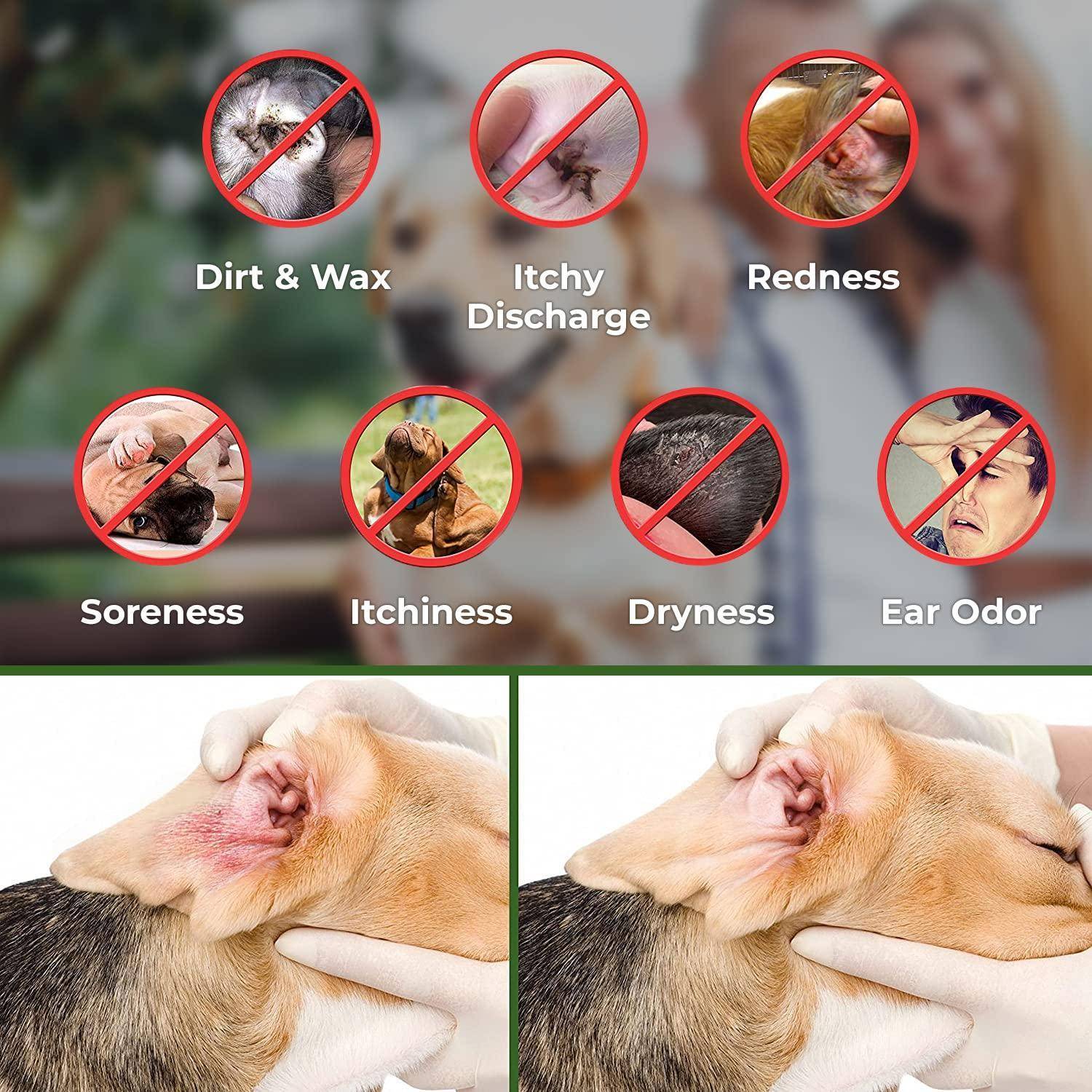 Ear Cleaner Wipes by Arava   for Dogs Cats Puppies &amp; Kittens   100