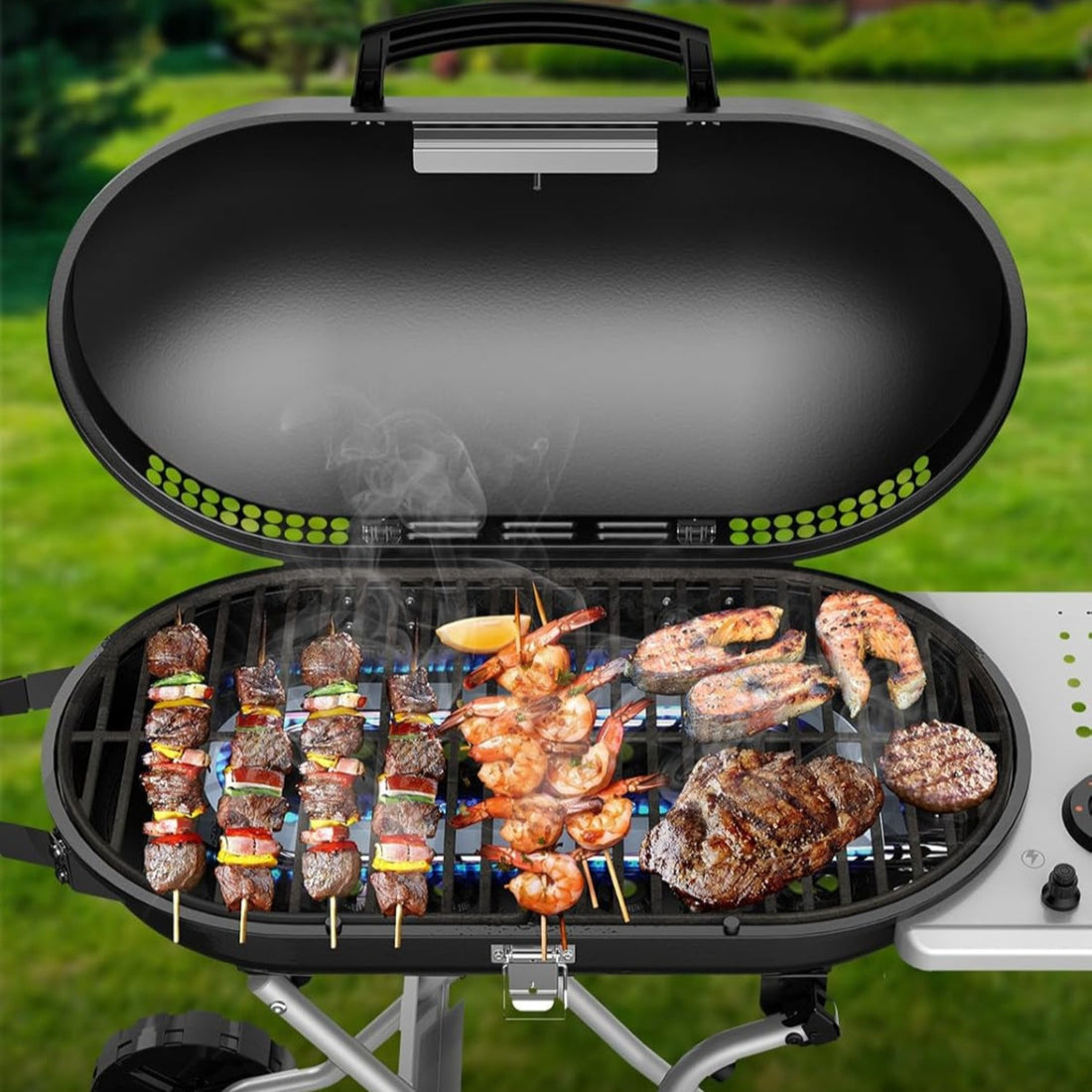 Portable Propane Grill with Top Cover