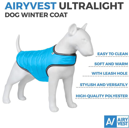 Dog Winter Coat for Small Medium &amp; Large Dogs   Waterproof Dog Warm