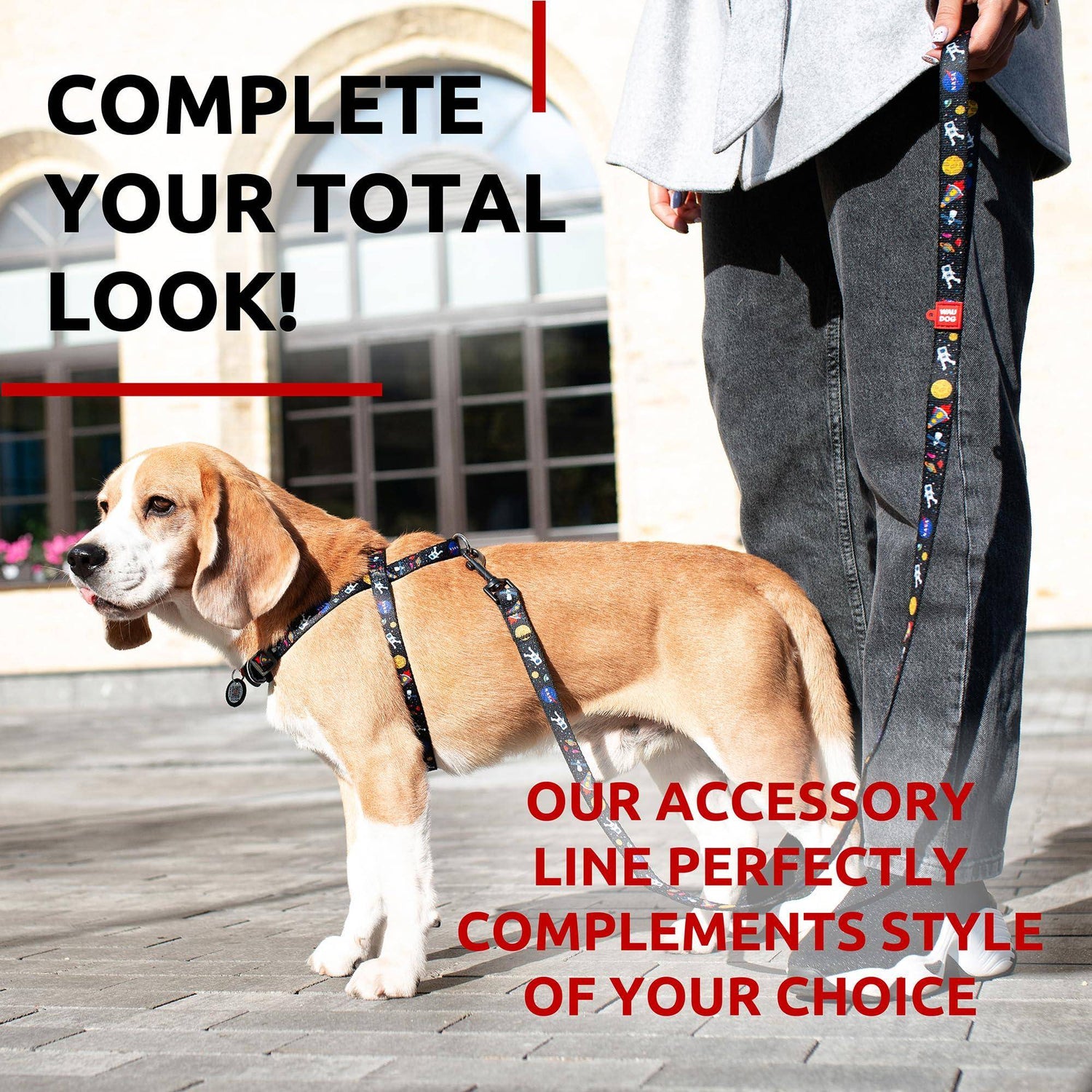 WAUDOG Nylon Dog Leash for Small Dogs and Medium Dogs 4 Ft   Strong