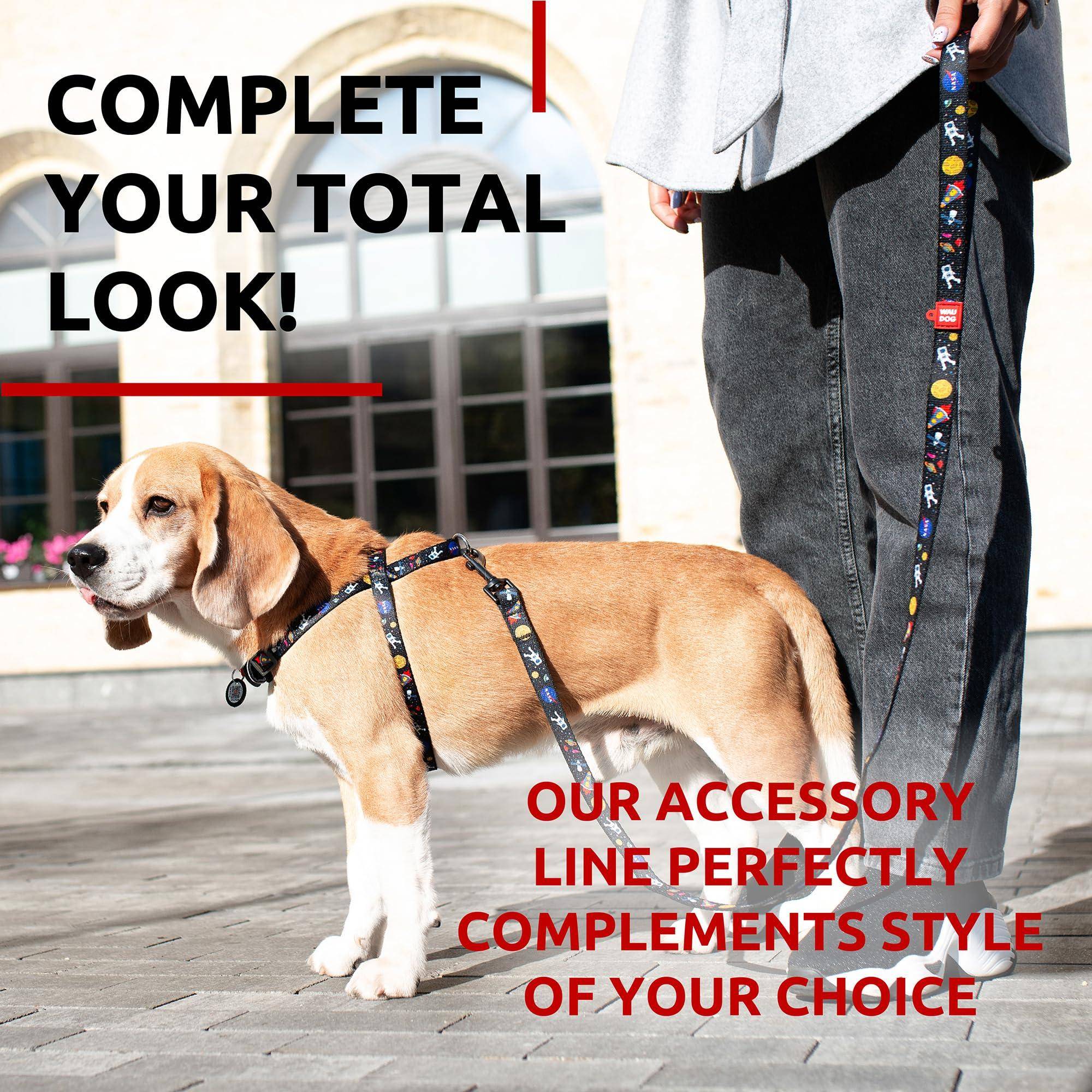 WAUDOG Nylon Dog Leash for Small Dogs and Medium Dogs 4 Ft   Strong