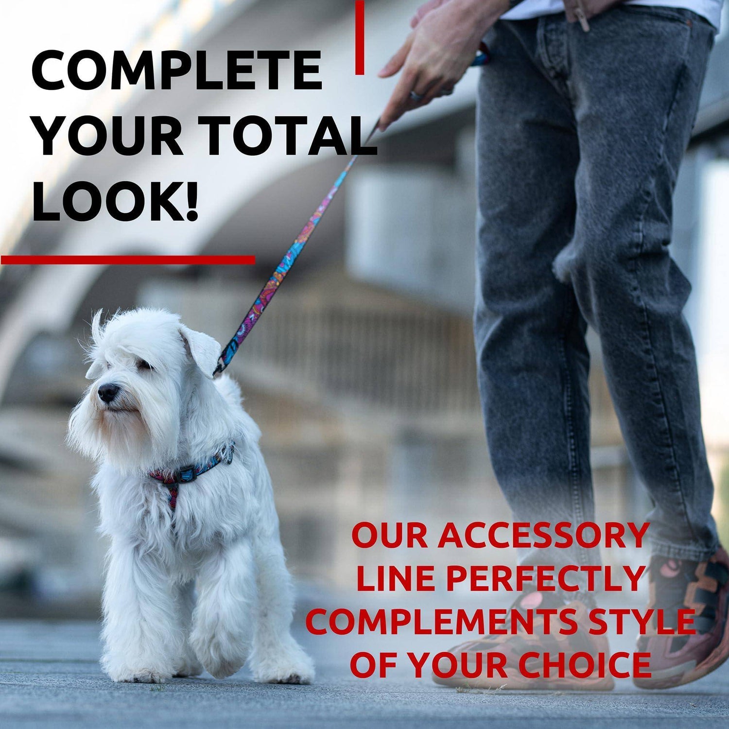 WAUDOG Nylon Dog Leash for Small Dogs and Medium Dogs 4 Ft   Strong