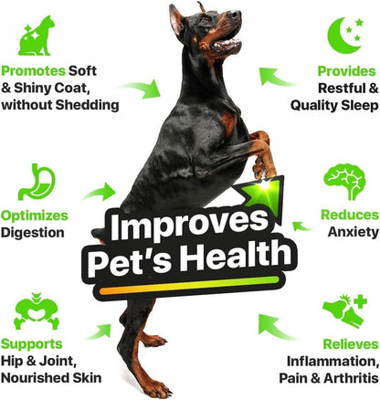 Charlie&amp;Buddy H–µmp and Salmon Oil for Dogs Skin and Coat H–µalth   3