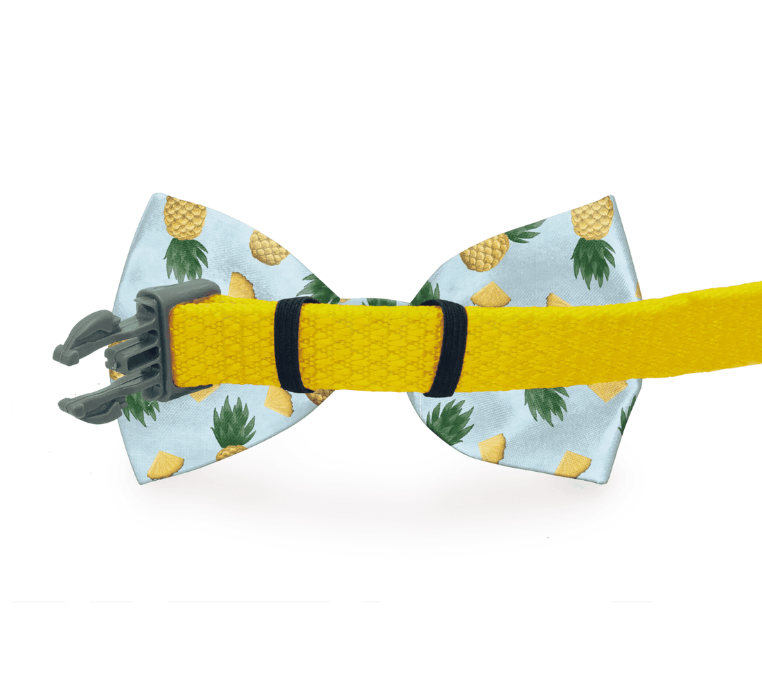 Swallow &amp; Feather Dog Bow Tie Purple